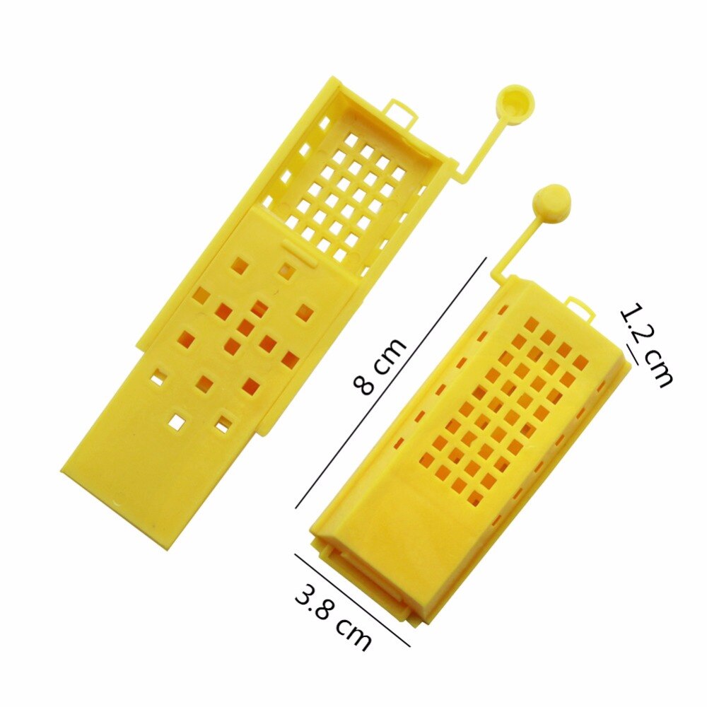 Protection Queen Bee Cage Bee Tools Bee transport cages Farm Beekeeping Equipment Queen bee rearing device 50 Pcs