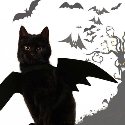 Halloween huisdier hond kostuums vleermuisvleugels vampier zwart schattig verkleedkostuum halloween huisdier hond kat kostuum