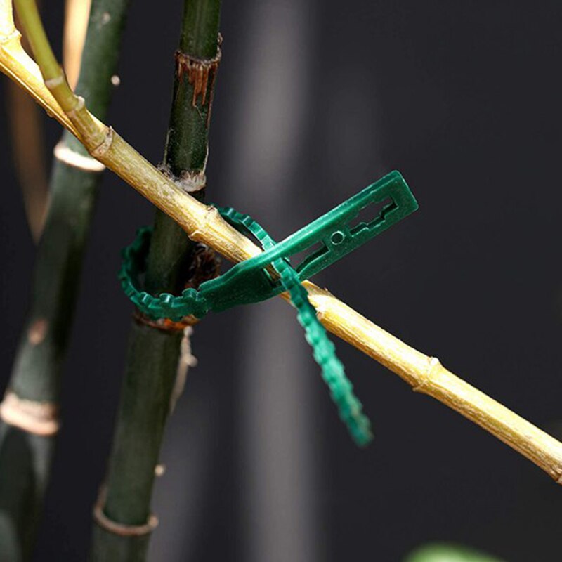 Verstelbare kabelbinders van kunststof voor planten, herbruikbare kabelbinders voor tuin, boomklimondersteuning, plant, wijnstok, tomatenstengelclip
