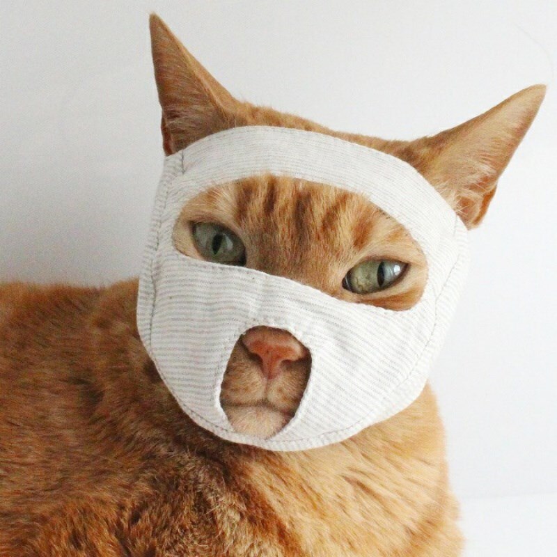Kattemaske kattesnude anti-bid anti-kat bid mundbetræk hovedbeklædning maske kat assessoires katteudstyr anti-bid og åndbar