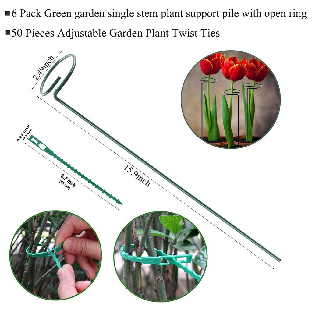 6 Pack Plant Ondersteuning Stakes, tuin Single Stem Ondersteuning Stake Plant Kooi Ondersteuning Ringen Voor Amaryllis Tomaten Orchidee Lelie Peonage