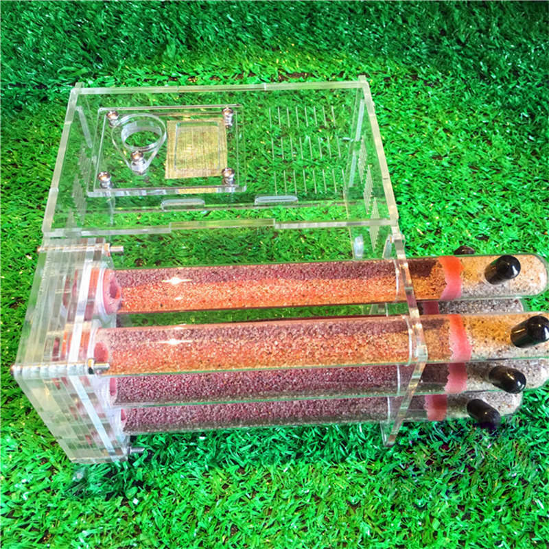 Fourmis en verre acrylique 15x14.5x8.5cm, ferme avec zone d&#39;alimentation, maison, usine, atelier d&#39;insectes, 6 Tubes à essai, fourmilière pour animaux de compagnie: Ecological