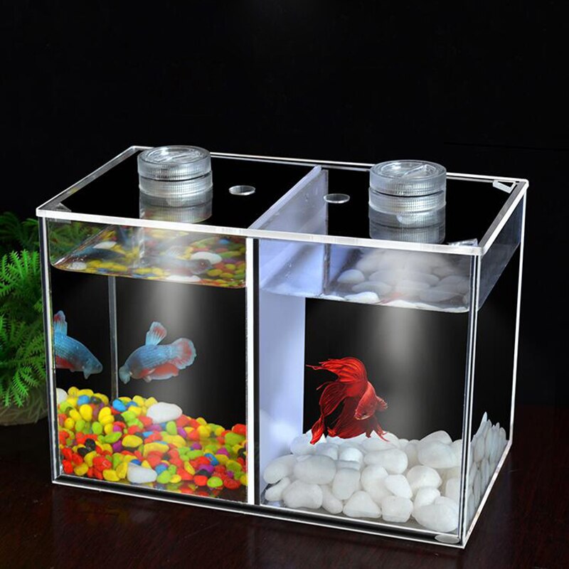 Caja de cría de peces transparente de doble rejilla, decoración creativa de escritorio, Mini acuario con luz: 24x10x15cm