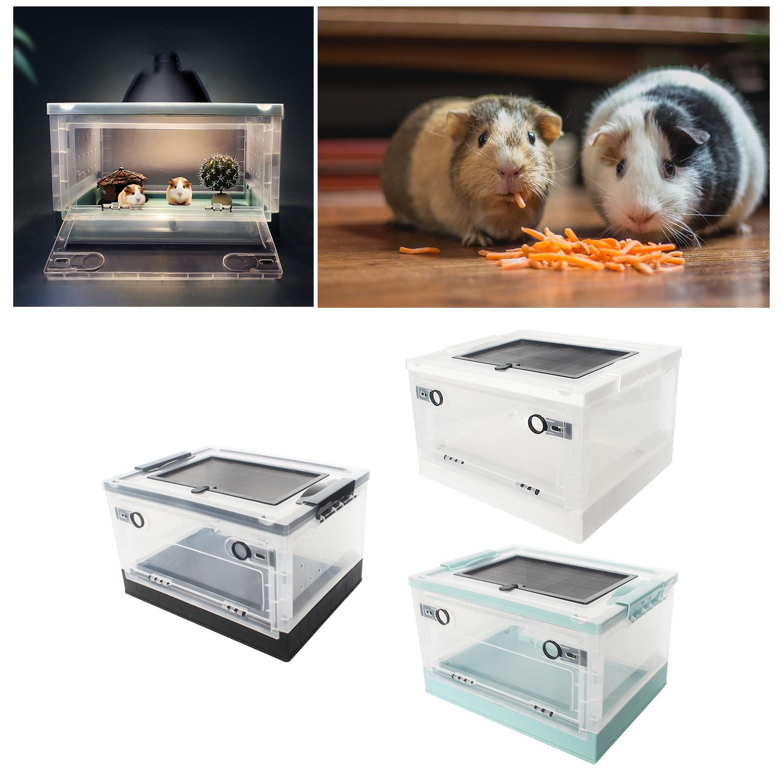 Boîte d&#39;alimentation pliable pour reptiles, pour Hamster, animaux de compagnie, Terrarium, réservoir de Transport pour souris, serpent, lézard, petits animaux, Rat
