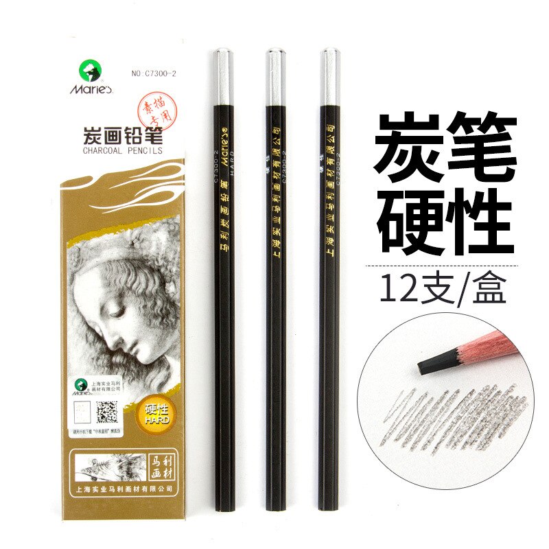 12-Pack Sketch Pencil Set Soft, Medium and Hard Advanced Charcoal Student Learning Stationery Painting Art School Supplies: 7300-Hard charcoal