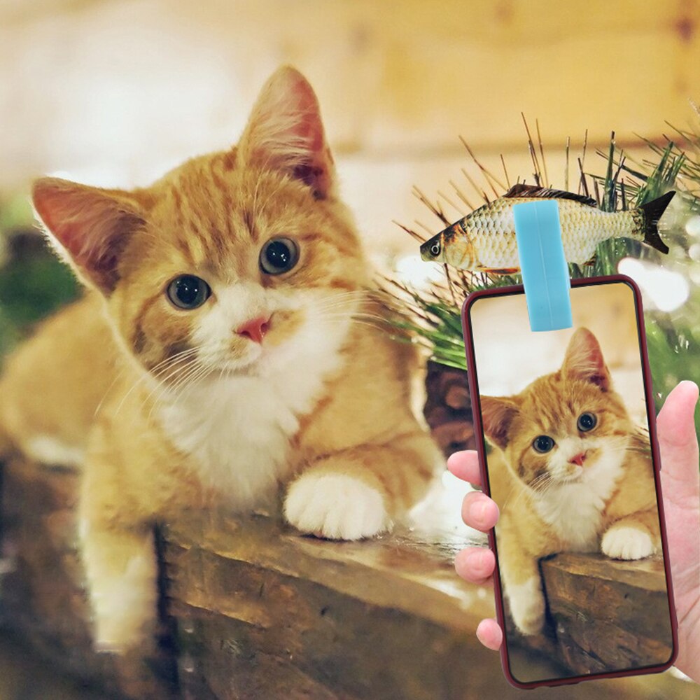 Pet Interaction Toys Take Portraits Pet Selfie Stick for Dogs Cat Pography Tools Pet Dog Accessories