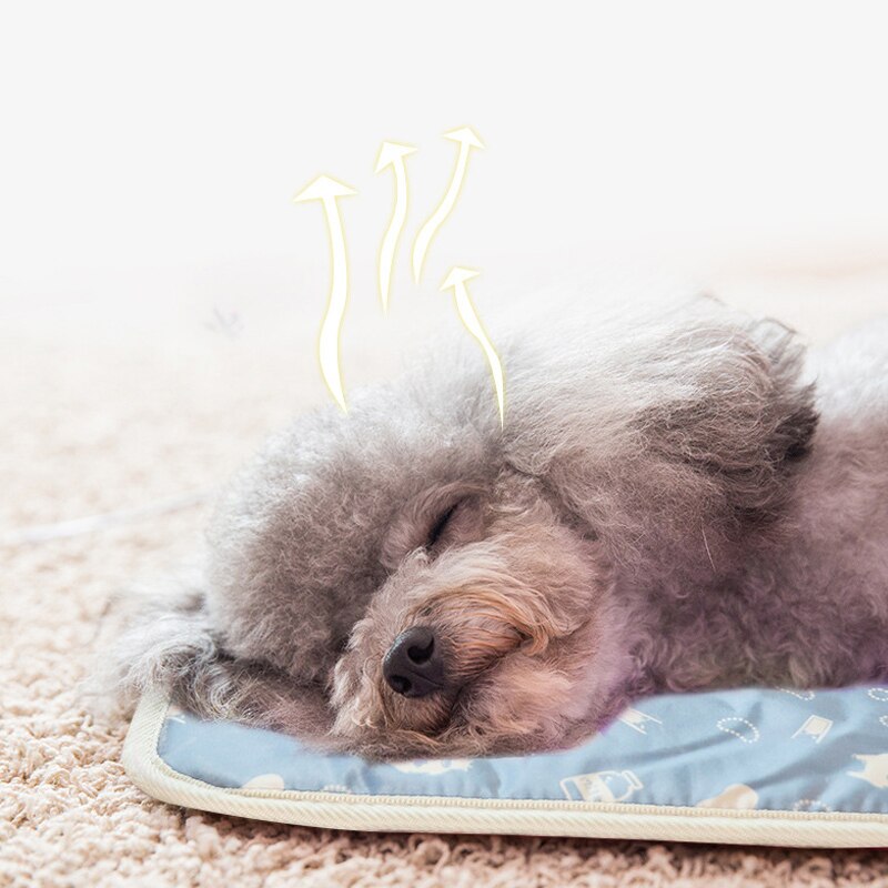 Verwarmingskussen voor huisdieren, honden en katten, elektrisch winterwarm tapijt voor dieren, waterdicht pluchen beddeken, verwarmingsmat, tapijtverwarmingskussen