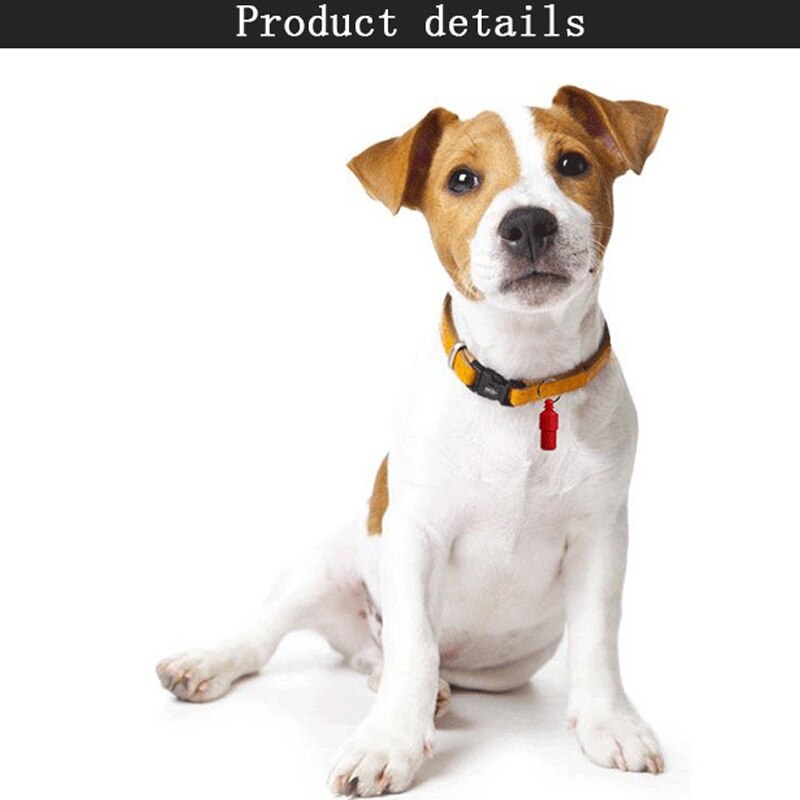 Pendentif d'adresse Anti-perte pour animaux de compagnie, 1 pièce, pour chien, chat, identification, nom, étiquette, carte d'identité, Tube de rangement, accessoires pour chiens