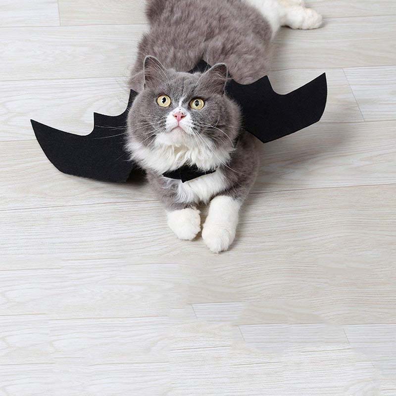 Disfraz de ala de murciélago de gato para Halloween, perro, gato, gatito, gato o ala de murciélago de fieltro negro para de Halloween, accesorio de disfraz decorativo