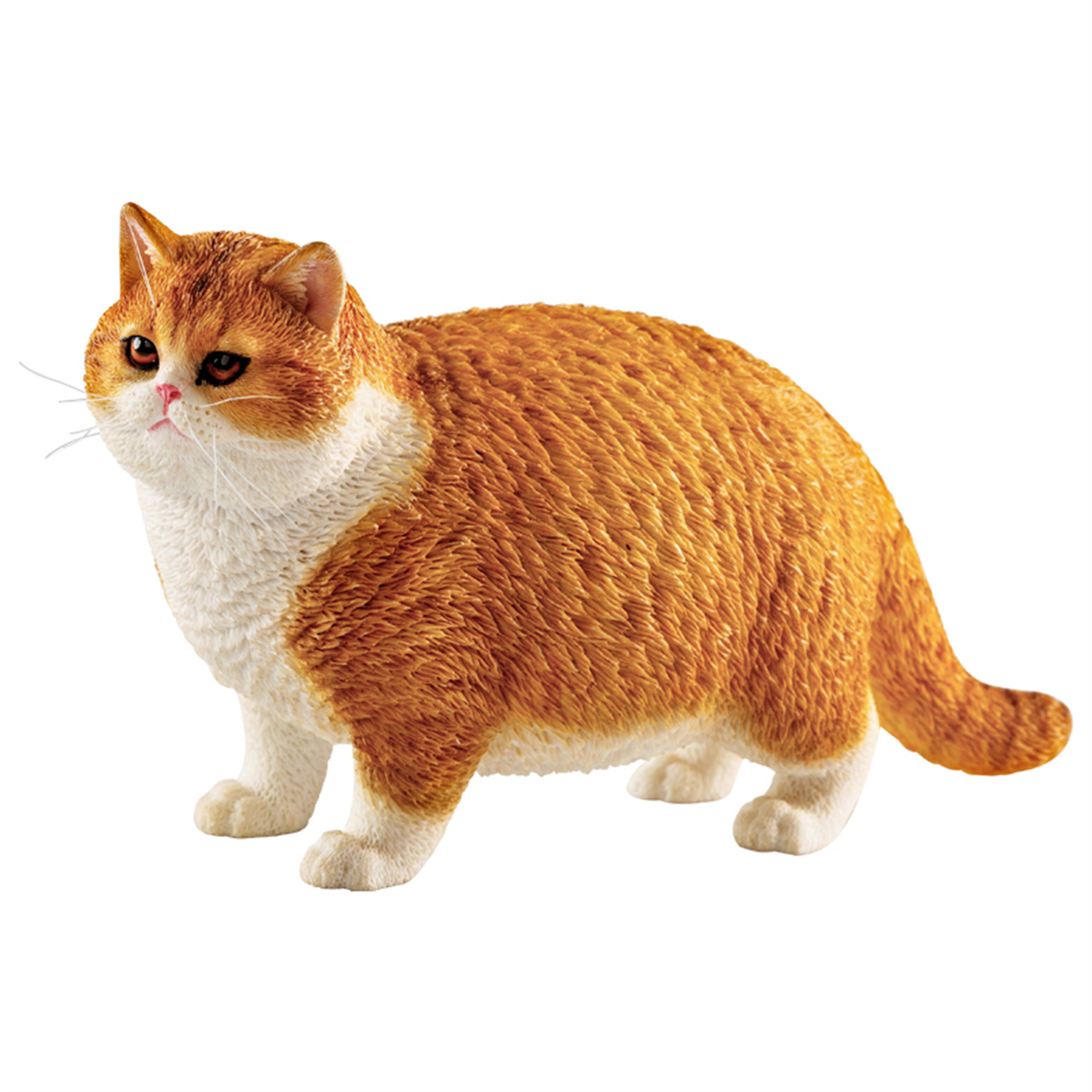 Jxk 1:6 Schaal Vet Kat Figuur Leuke Pet Animal Model Collector Kids Toy Desktop Decor Korthaar Kat Trendy Ornamenten