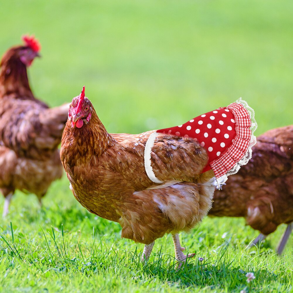 Chicken Feather Protection Back Wing Protector Cloth Hen Chicken Saddle Apron