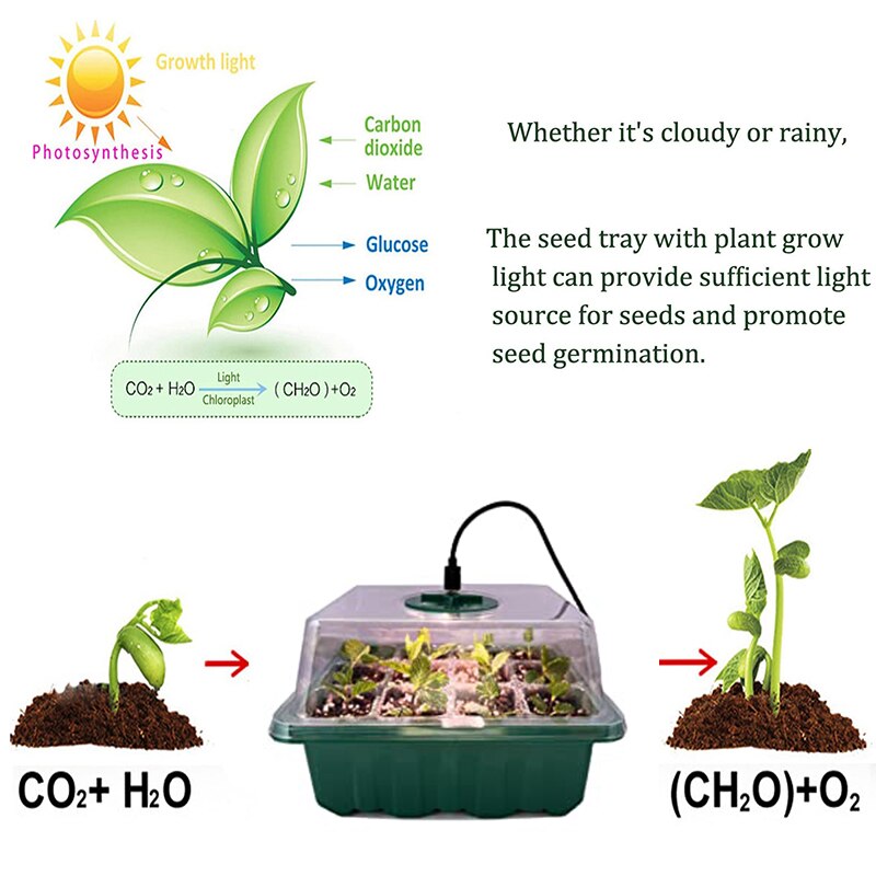 5Pack Greenhouse Planter Box Kit 12 Holes Nursery Pot Plant Seedling Tray with Growth Light Garden Cultivation Seeding Plant Pot