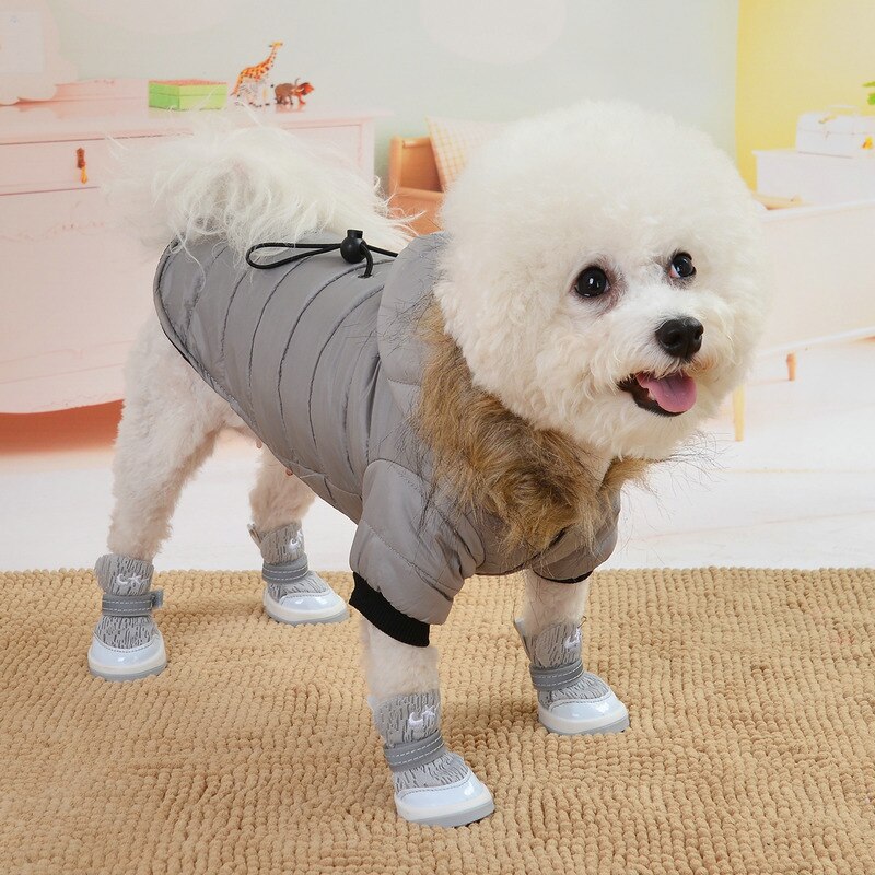 hiver chien veste manteau coton-rembourré pour Chihuahua veste Costume sweat à capuche chiot manteaux pour petits grands chiens