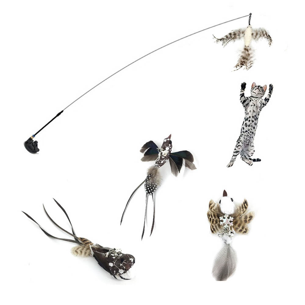 Simulatie Vogel Kat Speelgoed Interactieve Grappige Veer Vogel Met Bell Sucker Kat Stok Speelgoed Katje Spelen Teaser Wand Speelgoed Voor katten: Big-set