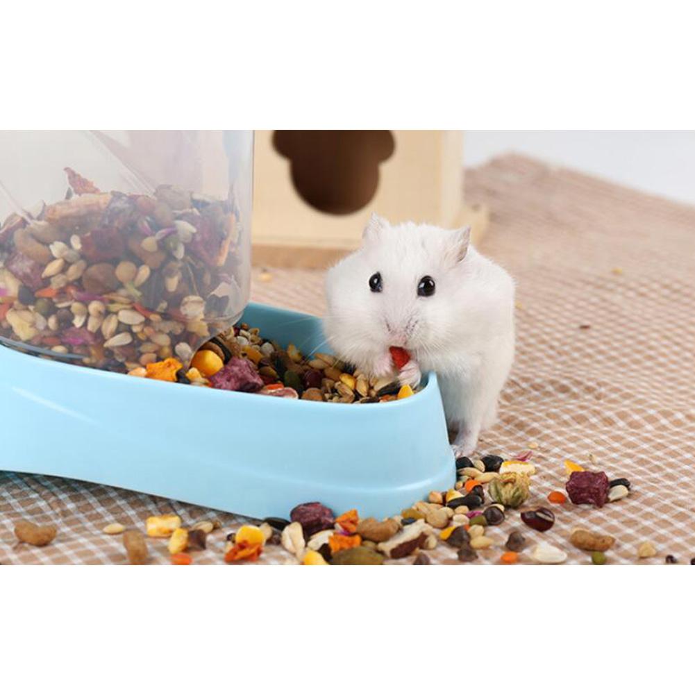 Hamster kanin foderautomat foderautomat til foder til kæledyr plast automatisk kæledyrsfoder til hamster marsvin madskål: Blå