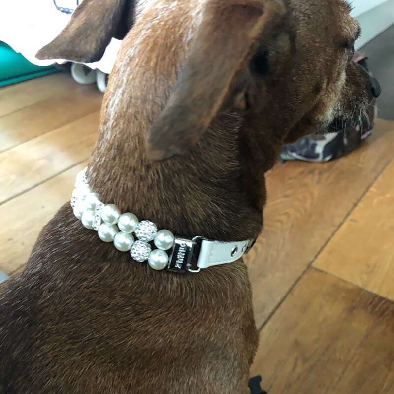 Hundehalsbånd kunstige perler pigghalsbånd kjæledyrhalsbånd justerbart skinnhalsbånd for liten hund