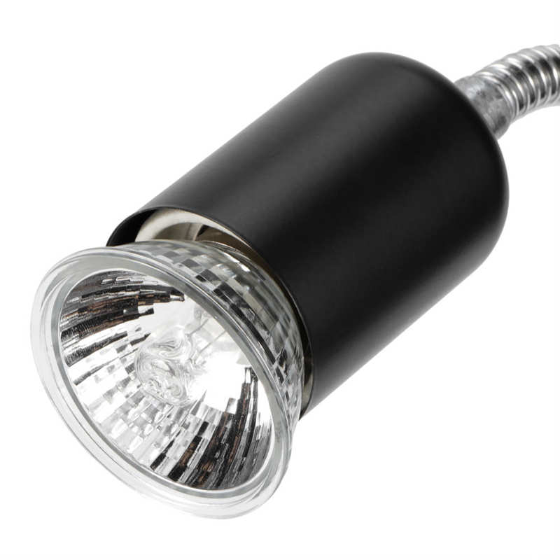 Lámpara de calor para cultivo de plantas, lámpara de calor para reptiles, para acuario, anfibios, Tortuga, enchufe de EE. UU., 110V, 25W