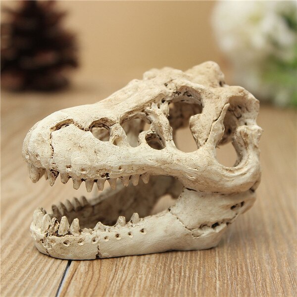 1 Pcs Hars Dinosaurus Schedel Aquarium Terrarium Decoratie Draak Krokodil Schedel Landschap Ornament Voor Fish Tank Accessoires