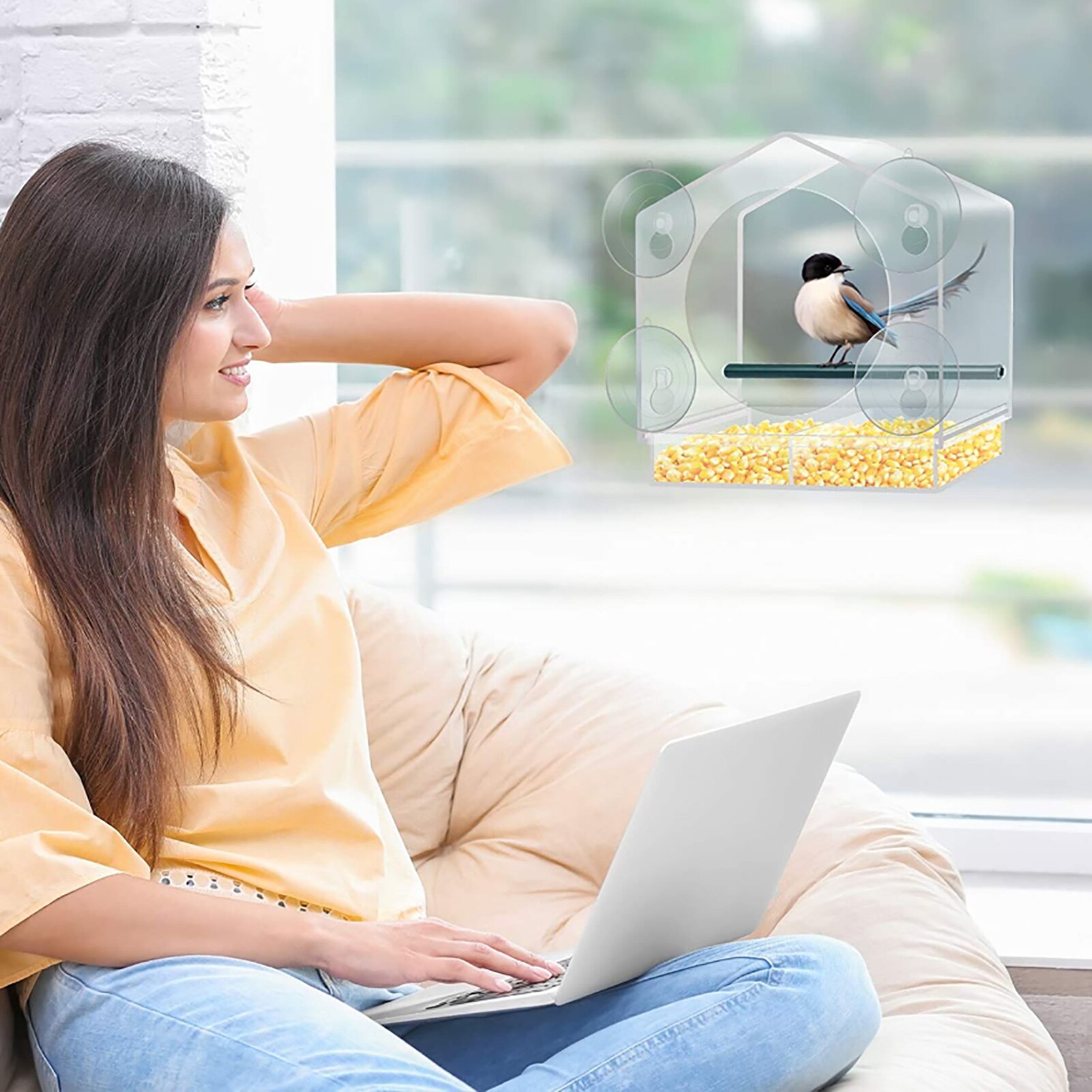 Bird Feeder Acrylic Transparent Window Viewing Bird Feeders Tray Birdhouse Pet Water Feeder Suction Cup Mount House Type Feeder