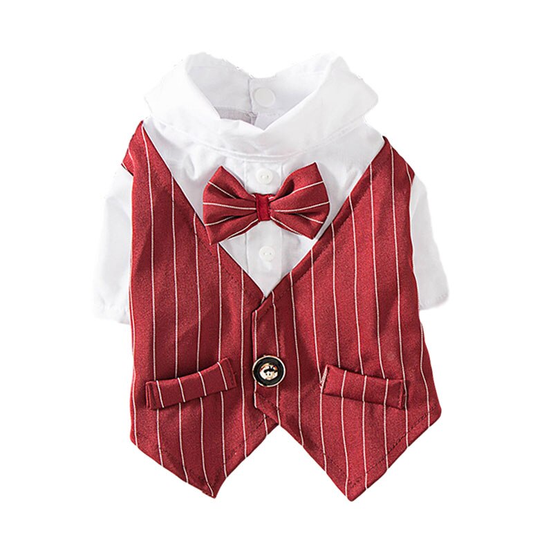 Gentleman chien vêtements rayure chien Costume formel chien chemise avec noeud mariage Costume chiot vêtements animal de compagnie petit chien Costume