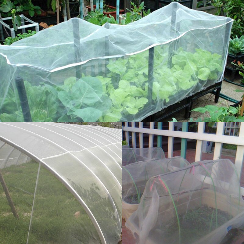 Large Garden Crop Plant Protection Net Netting Bird Net Pest Insect Animal Vegetable Care Big Mesh Nets Garden Supplies 1*2m