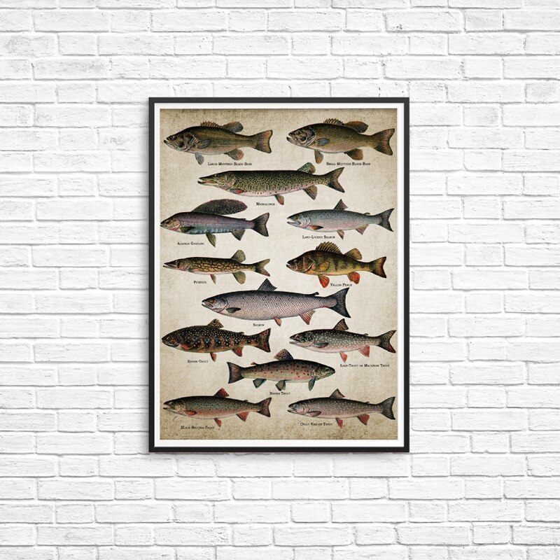 Fishing Angling Wall Art Canvas Posters Prints Breeds Of Fish Painting Freshwater Fish Wall Picture Poster Kraft paper