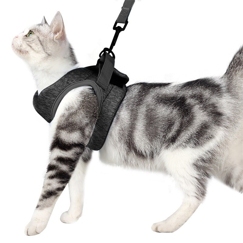 Conjunto de Correa y arnés ajustable para perros y gatos, arneses antiescape para mascotas, chaleco transpirable suave para gatos, suministros de correa para pecho para caminar al aire libre: Gray / L