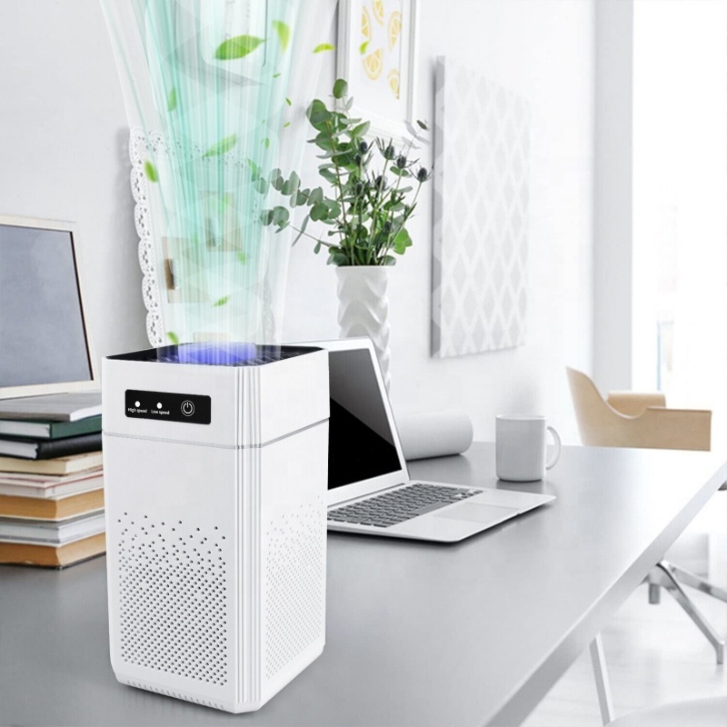 Purificatore d'aria Rimuovi l'odore di fumo Generatore di ioni negativi di formaldeide con filtro Hepa Filtro dell'aria portatile per la cucina della stanza