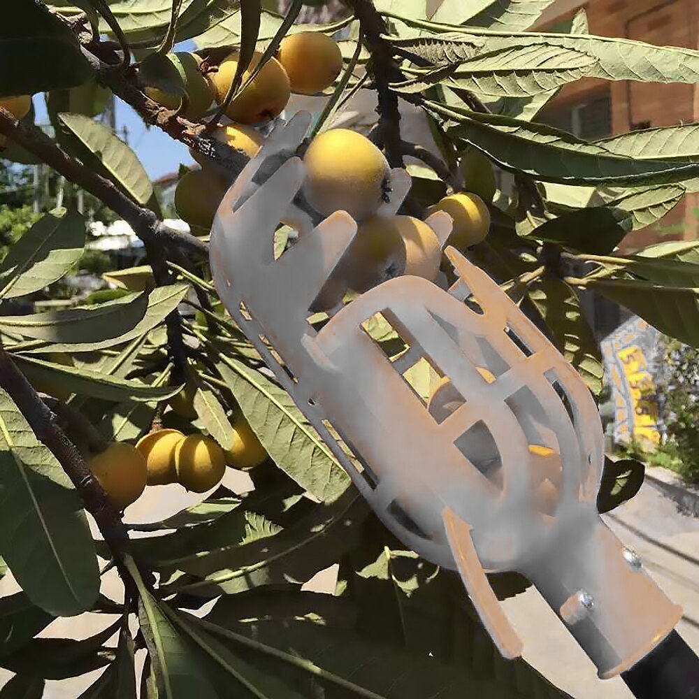1Pcs Plastic Fruit Tree Fruit Picker Catcher Collector Fruit Picking Tool Gardening Farm Picking Device Garden Greenhouses Tools