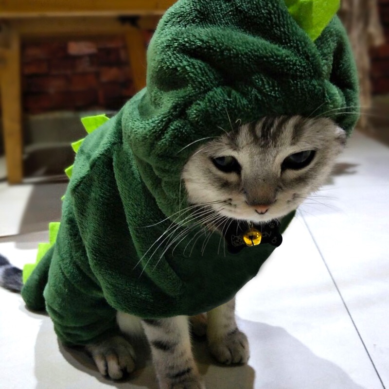 Winter Kat Kleren Dinosaurus Pet Kleding Voor Kleine Katten Grappig Hoodie Kostuum Huisdieren Kitten Warme Jas Levert XS-XXL