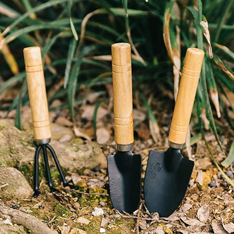 10 unids/set planta Mini trasplante Kit de herramienta de la plantación de Bonsai conjunto herramientas de mano Mini para la jardinería.