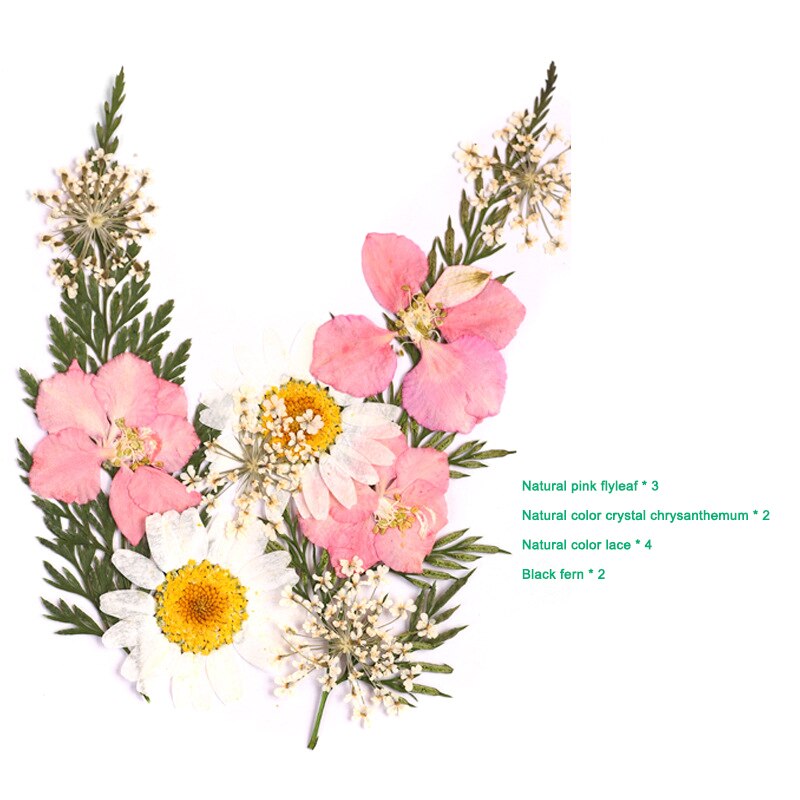Bra hälsosam pressad blomma blandade torkade blommor gör-det-själv konst blomdekor samling hantverk gör-det-själv: A 12
