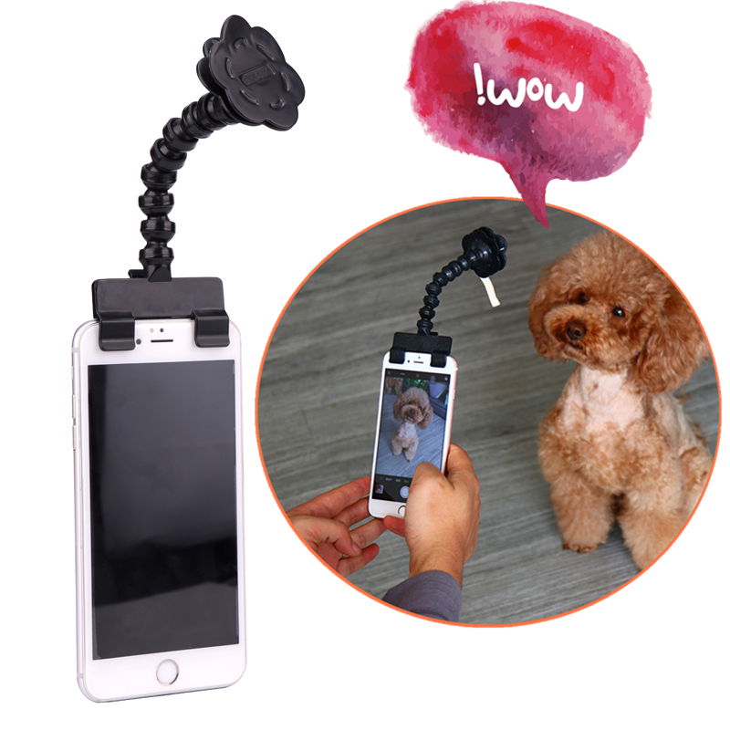 Brandnew pet selfie stick til hunde kat fotograferingsværktøj pet interaktion legetøj koncentrat træningsforsyning hundetilbehør