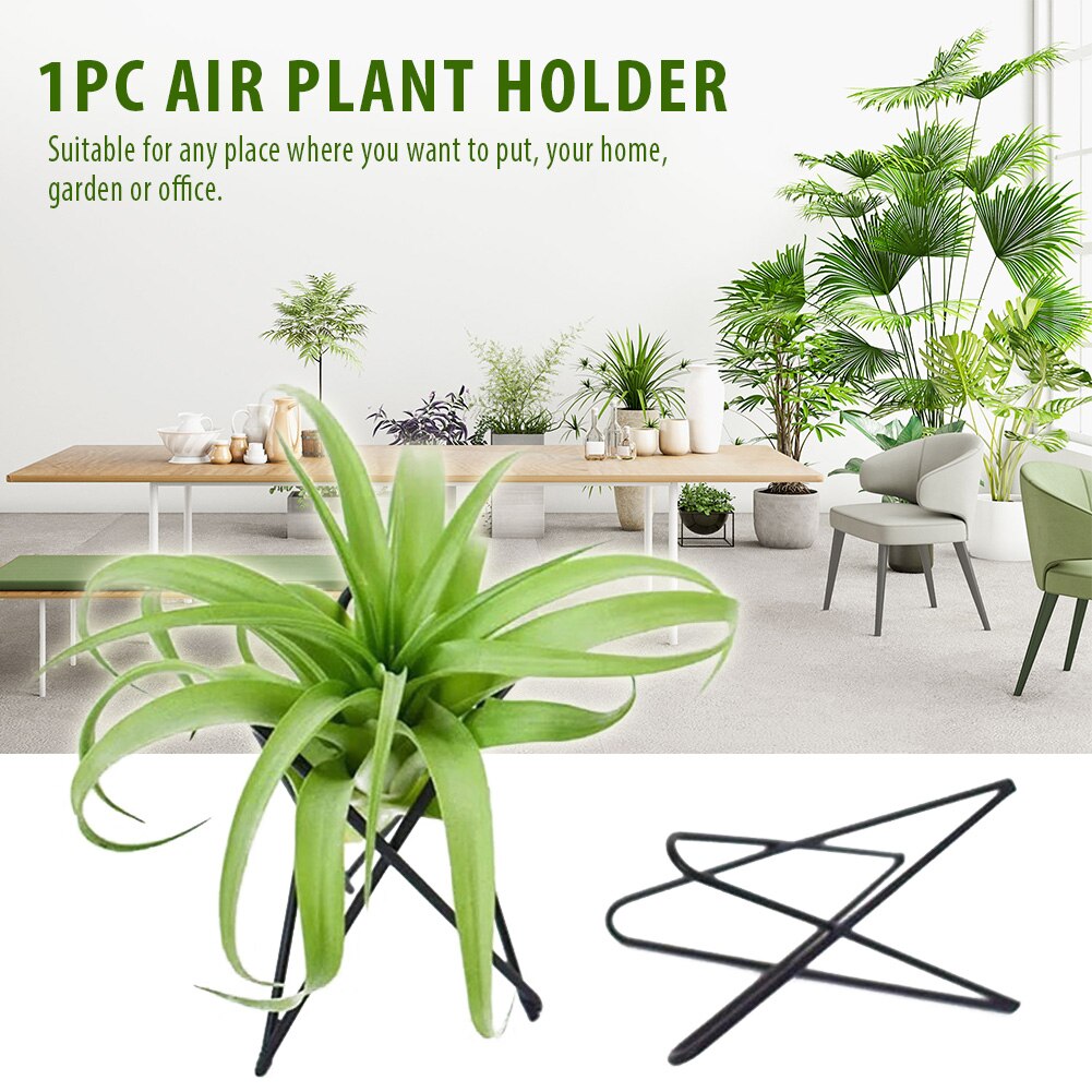 Blomsterpotter stå innendørs utendørs utstilling tillandsia bord jern kunst nordisk stil hagepynt luft planteholder kontor