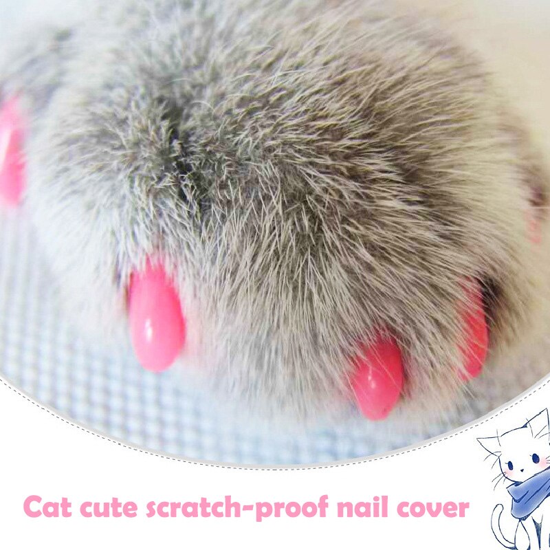 20Pcs Soft Cat Nail Caps Pet Paw Claws Voor Kat Nail Grooming Protector Cover Met Lijm Lijm Cat Grooming levert