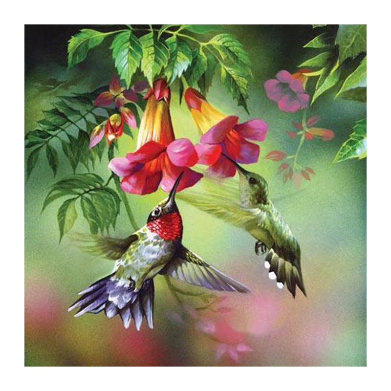 Diamantbroderi smuk natur 3d gør-det-selv diamantmaleri dyr kolibri blomster billeder efter tal perlebroderi