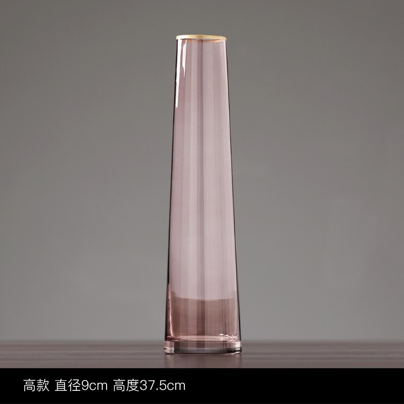 Jarrón de cristal embellecedor dorado, maceta de flor hidropónica gris, arreglo Floral, jarrones Rosa transparente, decoración del hogar, accesorios modernos: Pink 9cm x 37.5cm