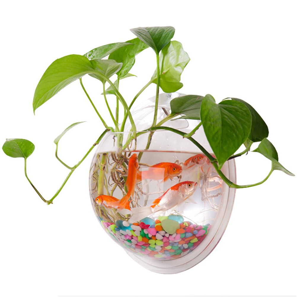 Pot De Fleur Mural Acrylic Fish Bowl Wall Hanging Aquarium Tank Home Container Wall Mount Pot Plant Vase Home Decoration: Default Title