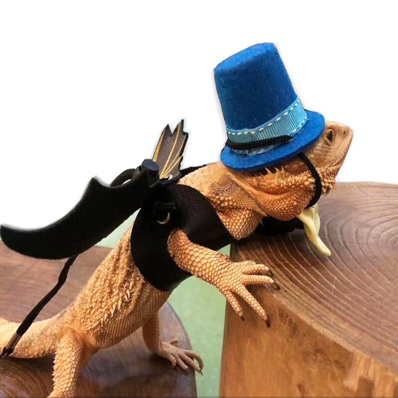 Arnés de Dragón Barbudo y correa de 2 colores, sombrero de mago, pajarita, correa ajustable de cuero para reptiles con ala para Animal PEQUEÑO