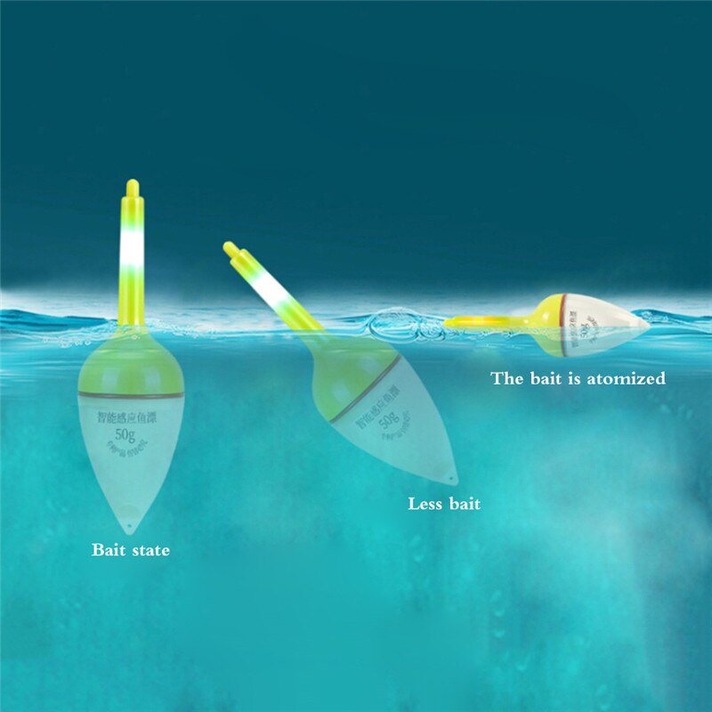 Flotteurs de pêche lumineux de nuit, accessoires en plastique pour la carpe