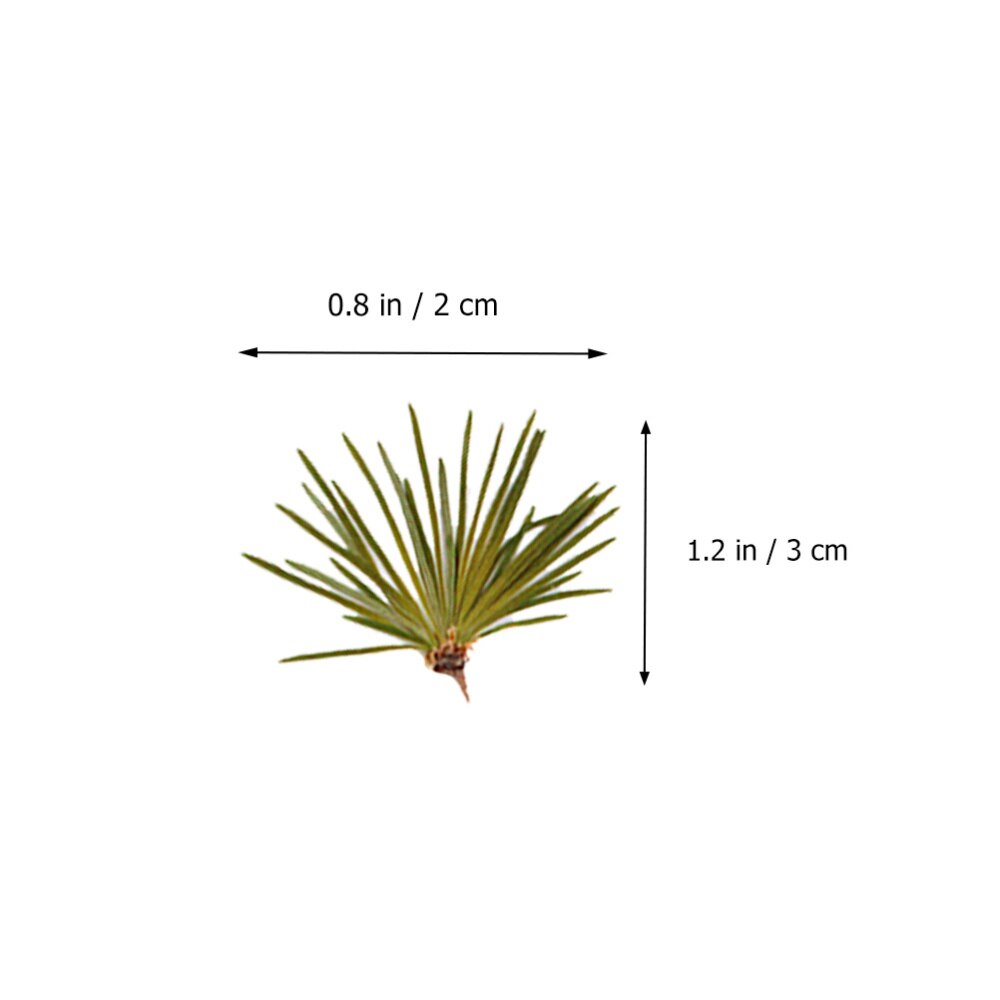 24Pcs Mooie Natuurlijke Groene Diy Ambachten Plant Sample Dennennaalden Bladeren Handgemaakte Accessoires Voor Thuis Hetel Telefoon Case