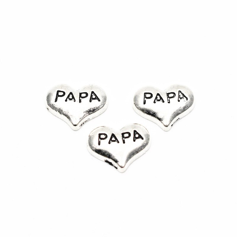 10 stks/partij MUM PAPA Brother drijvende charms living glas drijvende geheugen medaillon charmes sieraden: 5