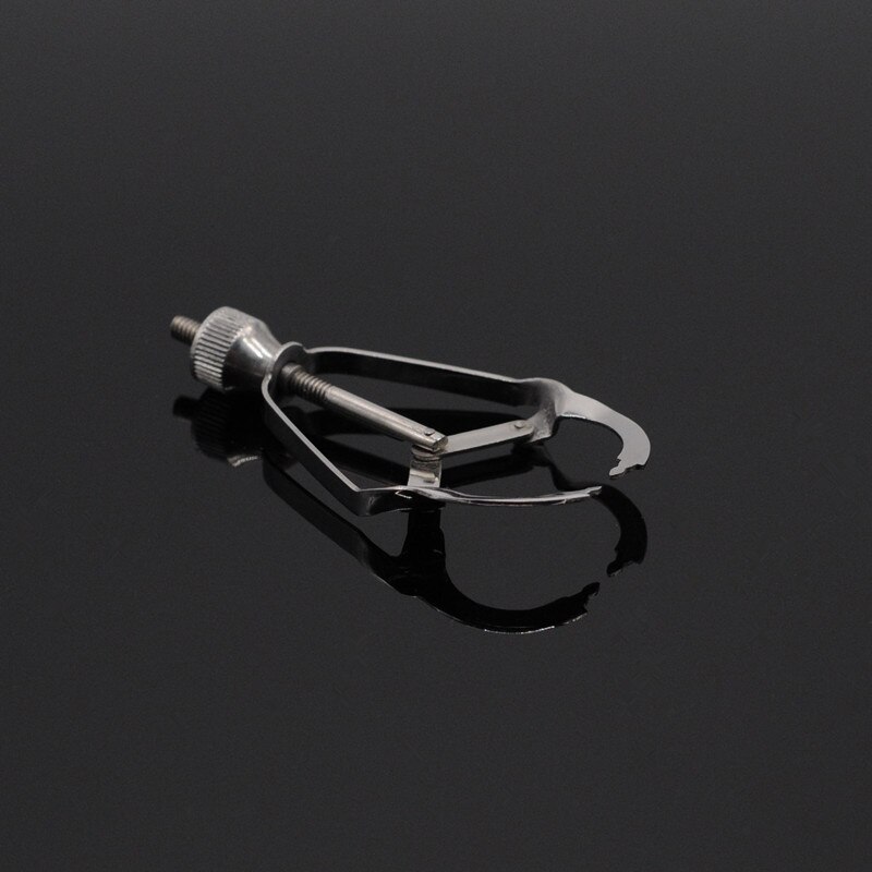 Orthodontie dentaire matrice bandes retenue pièce de moulage Tofflemire pince collée acier inoxydable dentiste Endo Instrument