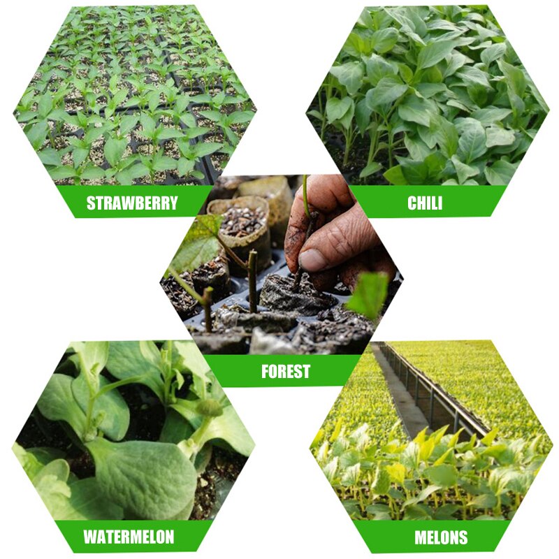 10Pcs Seeding Tray Plastic Nursery Tray Succulent Plants Pot Seed Grow Box Tray JS23