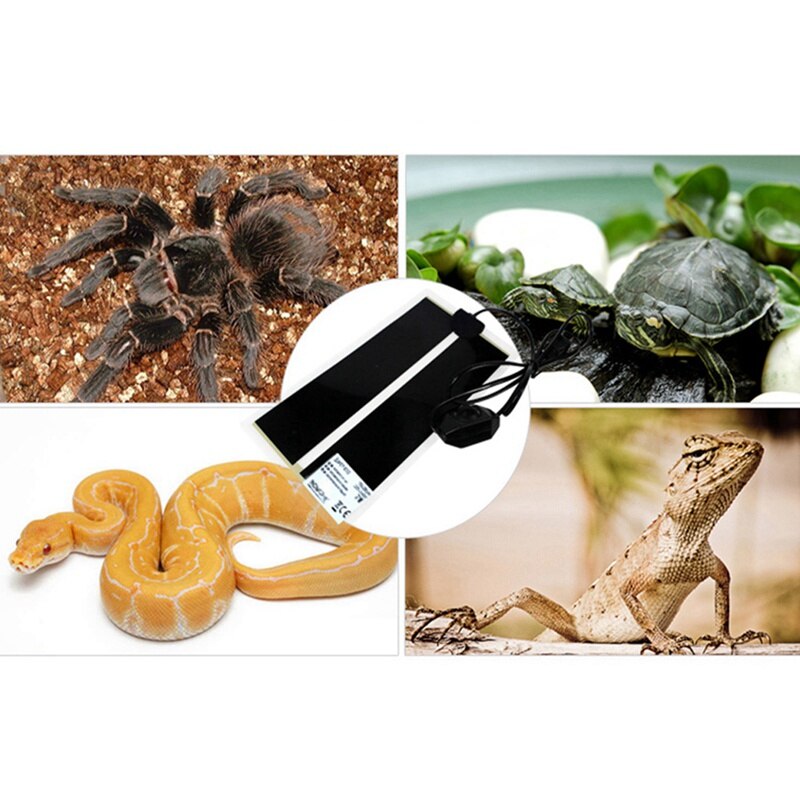 Verwarming warmtemat, regelbare temperatuurregelaar, broedmat, gereedschap, terrarium, reptielen, warmtemat, 5-28w klimdieren