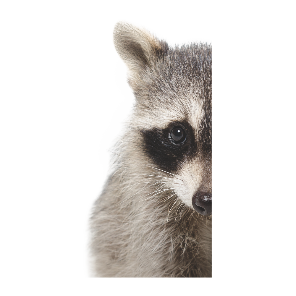 Naklejki na ścianę robić mierzenia wzrostu kreskówki dla pokoje dla dzieci żyrafa panda wysokość linijka wykres growup naklejki ścienne wystrój pokoju dziecięcego: 294b