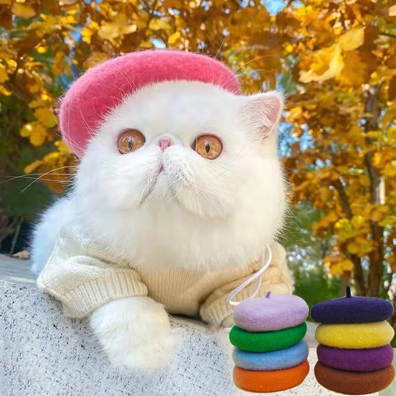Solid Color Pet Hat Painter Wool Hat Dog Beret Mini Decorative Photo Headwear Pet Memorial Christmas Luxury Beret Hat