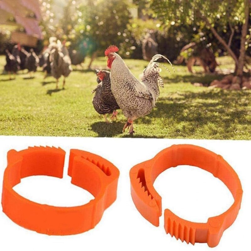 -100Pcs Chicken Identification Leg Bands Tags Poultry Leg Bands Bird Leg Bands Duck Leg Bands Clip-on Rings