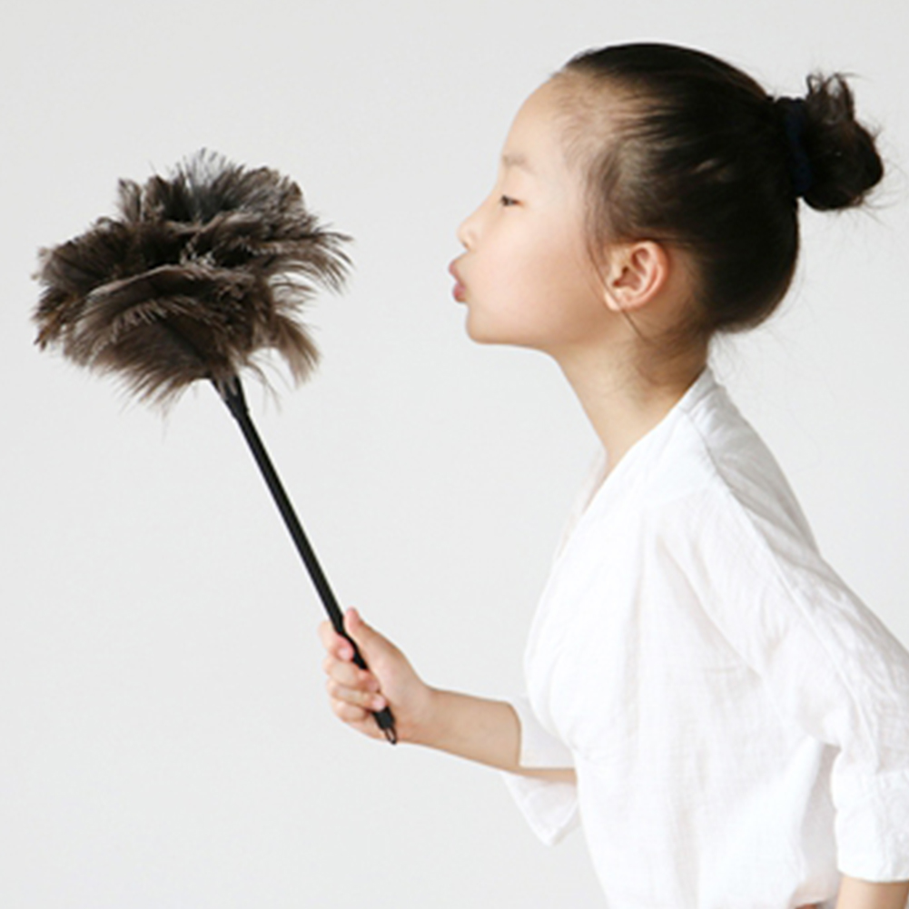 Cleaning Tool Soft Office Window Feather Duster Household Home House Faux Feather Cleaner Long Handle Dedusting Furniturer Brush