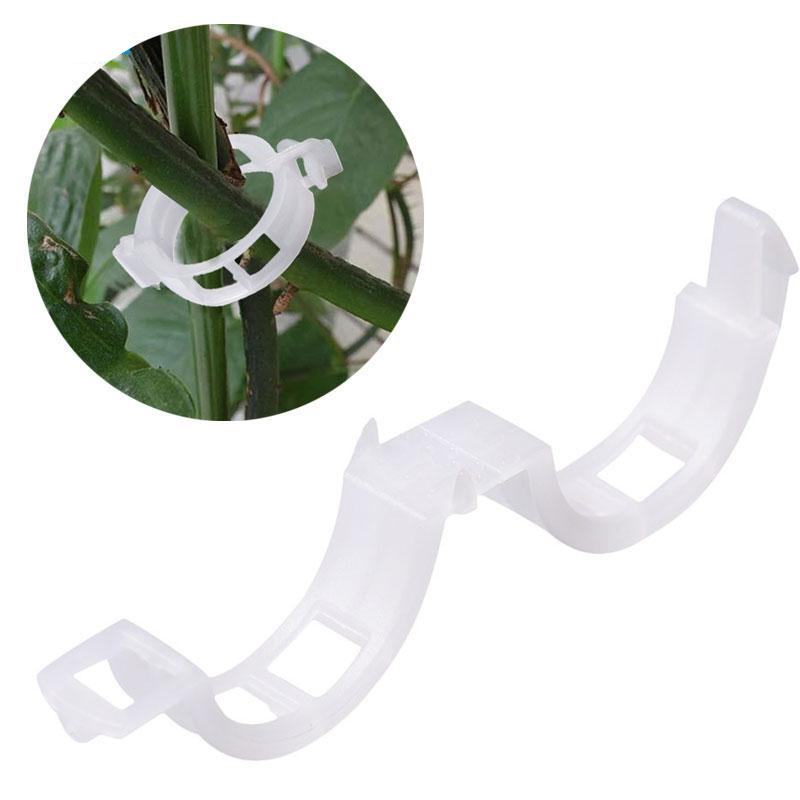 Plastic Plant Support Clips 30/50Pcs Vine Trellis Tomato Stem Vegetable Fixing Clip Garden Greenhouse Accessory Plant Clips